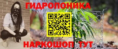 ешки Ярославль
